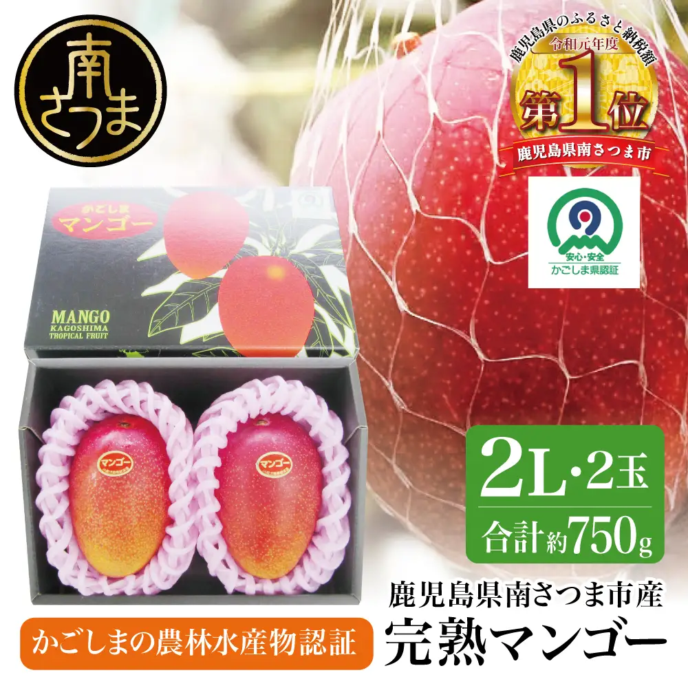 鹿児島県産 完熟マンゴー 2Lサイズ 2玉（化粧箱入り）［数量・期間 限定 ］ 先行予約 先行受付 マンゴー 完熟マンゴー トロピカルフルーツ 完熟 芳醇 国産 果実 果物 くだもの フルーツ 果肉 果汁 食品 デザート スイーツ おやつ 甘い ジューシー 旬 夏 季節限定 季節の果物 南国フルーツ 南国 おすすめ 高級 ご褒美 贅沢 グルメ 冷蔵 JAさつま日置 鹿児島 鹿児島県 南さつま市