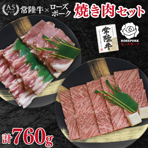 【常陸牛 A5ランク・ローズポーク焼肉セット】常陸牛カルビ360ｇ＋ローズポーク400ｇ（ロース200ｇ・ばら200ｇ EK-48
