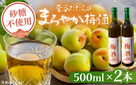 酒 菅谷たたらの梅酒 500ml×2本　 [AICD008]