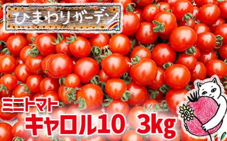 【2026年7月中旬より順次発送開始予定】 岩手県産 EM栽培 ミニトマト キャロル10 約3kg ／ とまと ミニ トマト みにとまと プチトマト EM em栽培 em 新鮮 旬 お弁当 夏野菜 旬野菜 季節野菜 期間限定 季節限定 産地直送 農家直送 直送 季節物 国産野菜 おすすめ ひまわりガーデン
