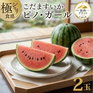 【 JA北つくば 】 こだますいか 「 ピノ・ガール 」 2玉
