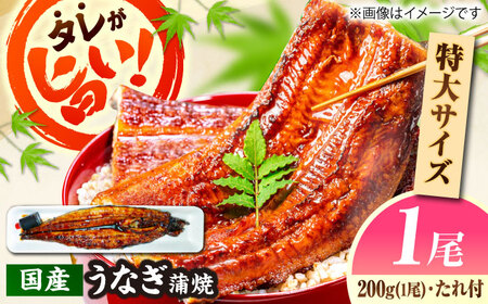 うなぎ 国産活うなぎ蒲焼（1本入） [AICQ002] 