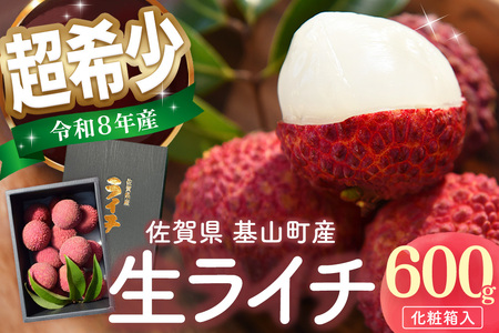 【先行受付】佐賀県産ライチ 600g(贈答用) K060011