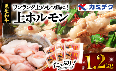 もつ鍋 ホルモン 小腸 1.2kg （200g×6パック） 【 上ホルモン ワンランク上のもつ鍋に！】 K002-004 肉 牛肉 冷凍