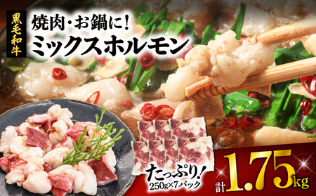 焼肉・お鍋に！ミックスホルモン1.75kg K002-005 肉 牛肉 冷凍