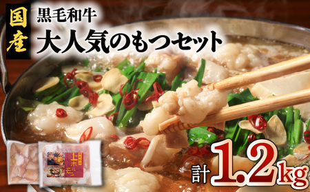 黒毛和牛 ！大人気の もつ （ ホルモン ）セット K002-006 肉 牛肉 冷凍