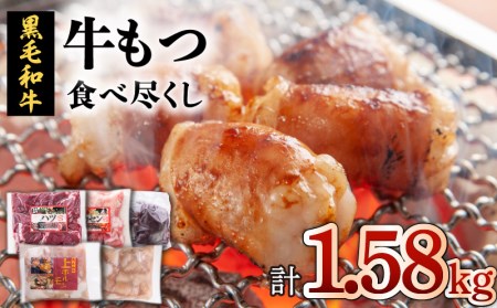 牛 もつ （ ホルモン ） 食べ尽くし ！ オールスター セット K002-008 肉 牛肉 冷凍