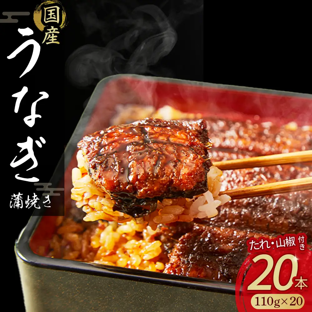 うなぎ蒲焼き（20本セット） うなぎ うなぎ蒲焼 高知うなぎ 国産うなぎ うな重 鰻 国産鰻 高知鰻 冷凍鰻 鰻蒲焼 四万十うなぎ 土用の丑の日 ／Esu-118