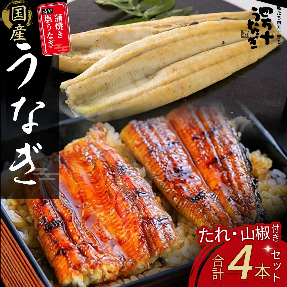 うなぎ蒲焼き・特製塩うなぎ 4本セット ( 110g×2尾 , 140g×2尾 ) 鰻 蒲焼 国産 冷凍 四万十 土用の丑の日 ／Esu-120