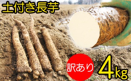 変色しない！ 訳あり 土付き 長芋 4kg 【マル庄】 ／ 長いも 長イモ ながいも 山芋 やまいも ヤマイモ 芋 いも イモ 春野菜 秋野菜 生野菜 根菜 訳あり 訳アリ わけあり ワケアリ 時短 時短食材 便利 手軽 国産 とろろ 山かけ おすすめ オススメ 人気 ４kg 4キロ ４キロ
