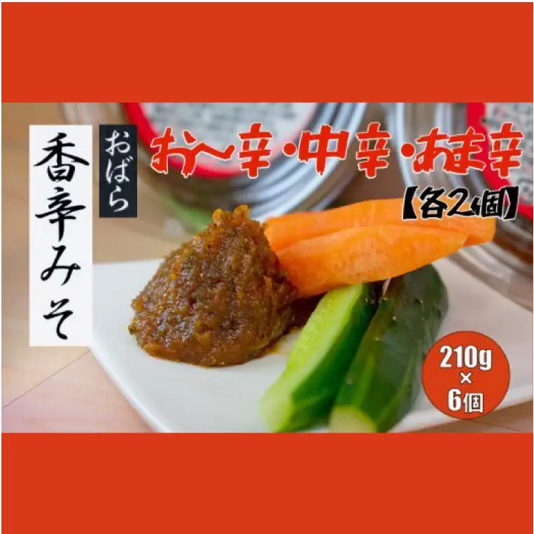 香辛みそセット（6パック入り）（AY-3）