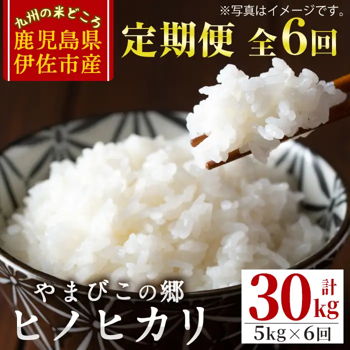E0-03 【定期便6回】特別栽培ヒノヒカリ(計30kg・毎月5kg×6ヶ月) ふるさと納税 伊佐市 特産品 白米 精米 ひのひかり【やまびこの郷】