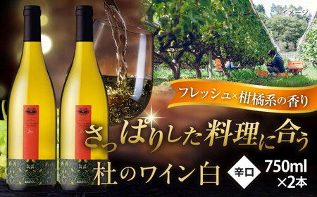 ワイン 杜のワイン白 2本セット[AICS053]
