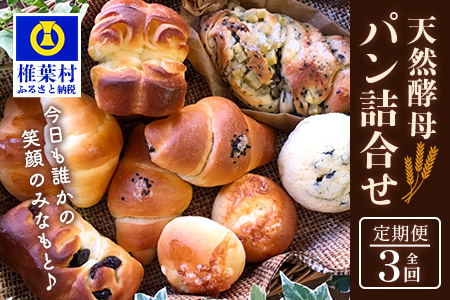 《3ヶ月定期便》【秘境・椎葉村の愛されパン屋さん】天然酵母パン 詰め合わせ 7種10個セット パン 定期便 天然酵母 詰め合せ セット メロンパン あん塩 バターロール おさつ ブレッド デニッシュ ミニ食パン レーズン バターロール NF-27