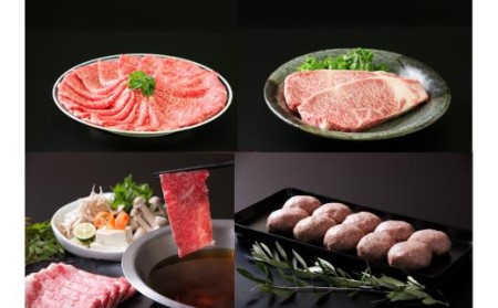 【4ヶ月定期便】佐賀牛 4種食べ比べセット　合計2.9kg （約2～3人前） サーロイン ロース ハンバーグ ステーキ しゃぶしゃぶ すき焼き 999-J664