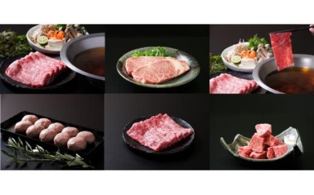 【6ヶ月定期便】佐賀牛 セット　計4.7kg ヒレ 赤身 モモスライス サーロイン ロース 999-J1973