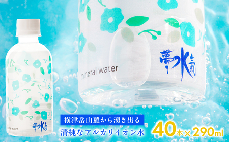 ミネラルウォーター夢水氣（290ml×40本） 天然アルカリイオン水 NABI002