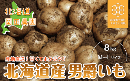 【先行予約 令和8年10月上旬発送】北海道産じゃがいも「男爵」8kg NAZ005