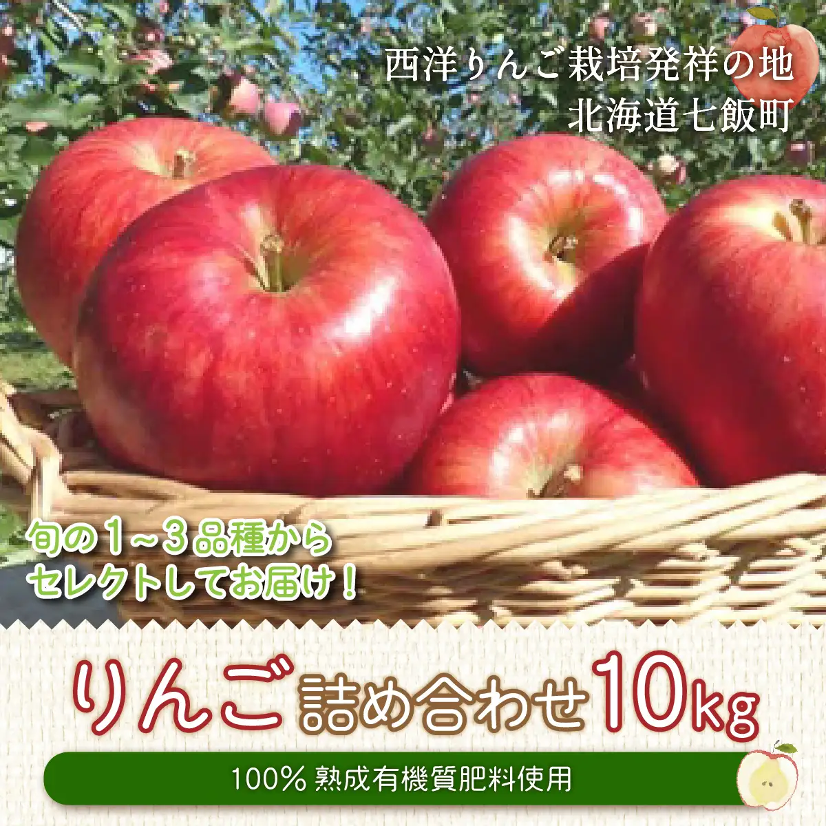 【先行予約】令和8年8月下旬頃より発送 北海道七飯町産 りんご 10kg 有機質肥料使用 NAR003