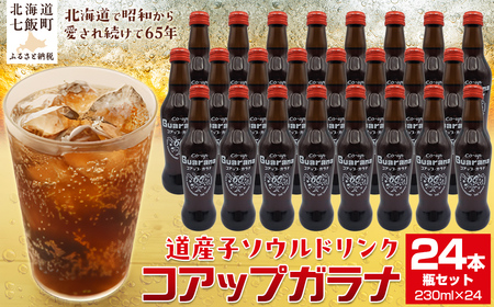 コアップガラナ24本セット（230ml瓶） NAQ004 | 北海道七飯町