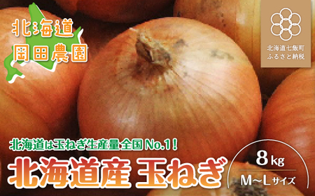 【先行予約 令和8年10月発送】北海道産玉ねぎ10kg お手頃サイズ 甘くておいしい！ NAZ007