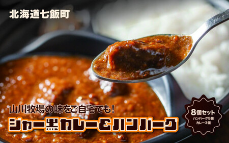 山川牧場育ちのジャー黒カレー&ハンバーグBセット（計8個） お手軽おかず NAN002 