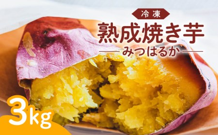 冷凍 熟成焼き芋みつはるか K169-001
