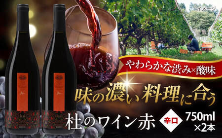杜のワイン赤 2本セット 奥出雲葡萄園 [AICS060]
