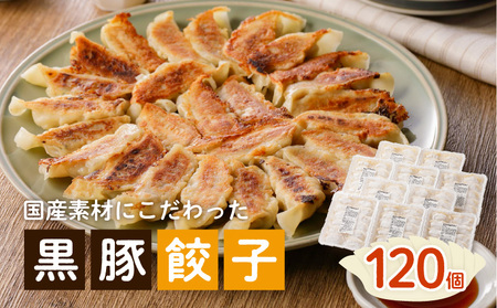 国産素材にこだわった黒豚餃子120個 K111-015 肉 豚肉 惣菜 総菜 冷凍