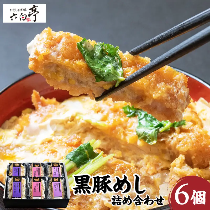 【 かごしま黒豚 六白亭 】 黒豚めし 詰合せ 6個 K163-004 肉 豚肉 惣菜 総菜 冷凍