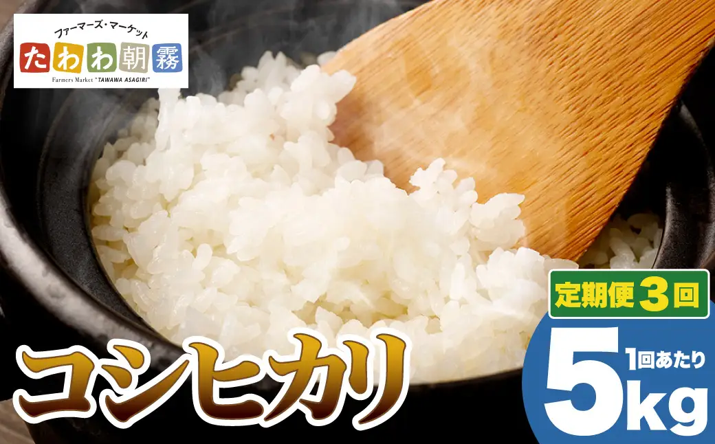 【3回定期便】令和7年産 コシヒカリ 5kg 定期便 精米 白米