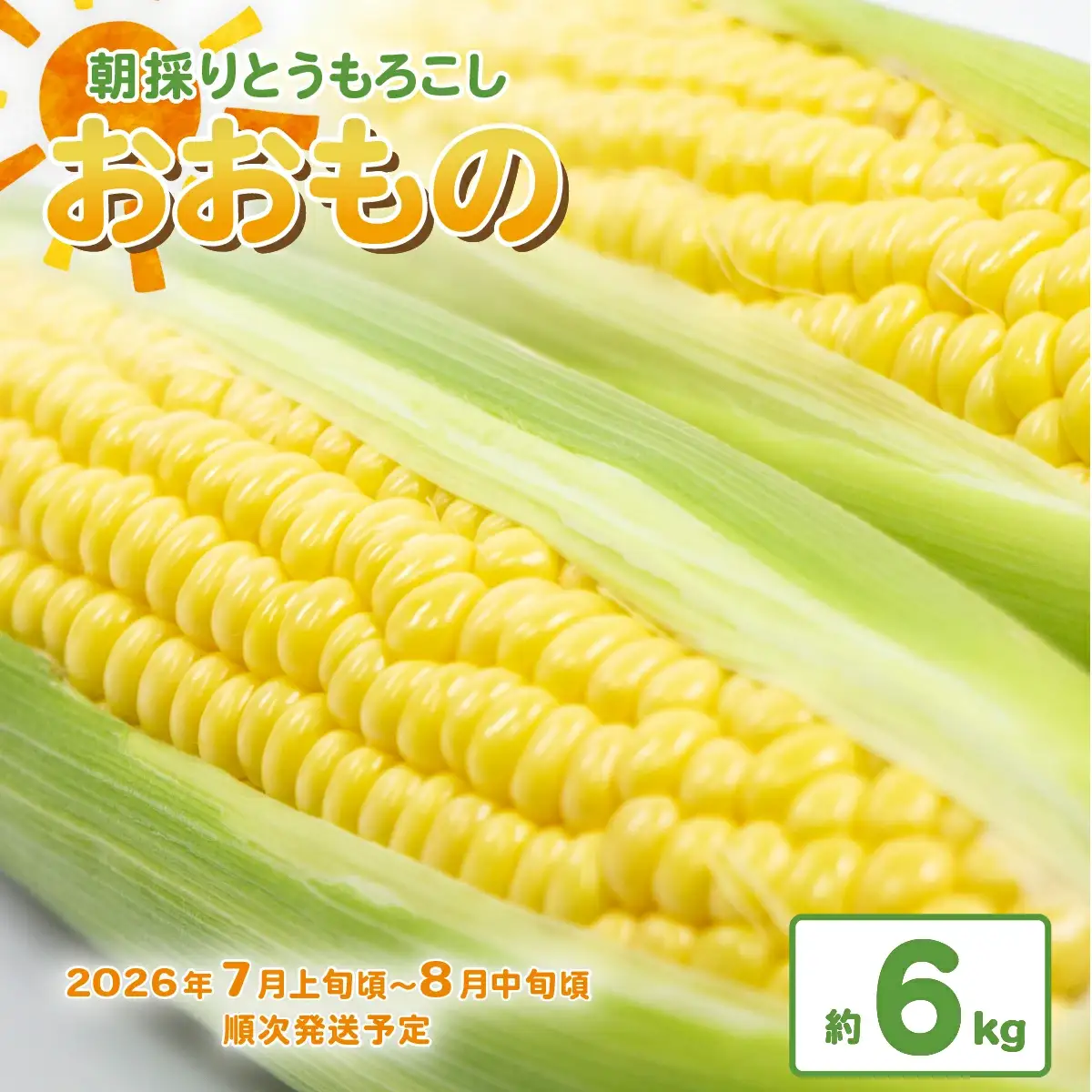 とうもろこし おおもの 約6kg 先行予約 トウモロコシ