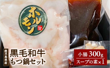 鹿児島県 産 黒毛和牛 もつ 鍋 セット K328-011 肉 牛肉 冷凍