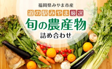 A7 　旬の農産物セット