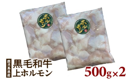鹿児島県 産 黒毛和牛 上 ホルモン 1kg K328-012 肉 牛肉 冷凍