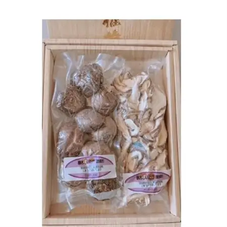 大衡村産　原木干ししいたけ(50g×2パック入り)1箱【1249259】
