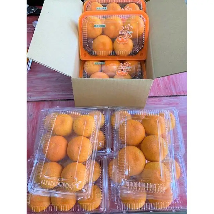 ハウスみかん　６パック【マルシ農園】