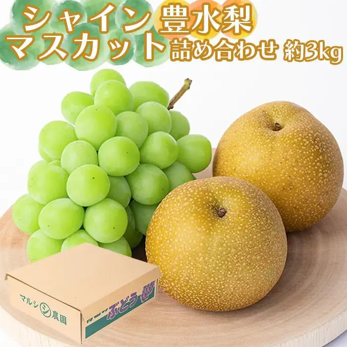 シャインマスカット、豊水梨　詰め合わせ約3kg箱