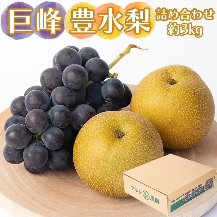 巨峰、豊水梨　詰め合わせ　約3kg箱