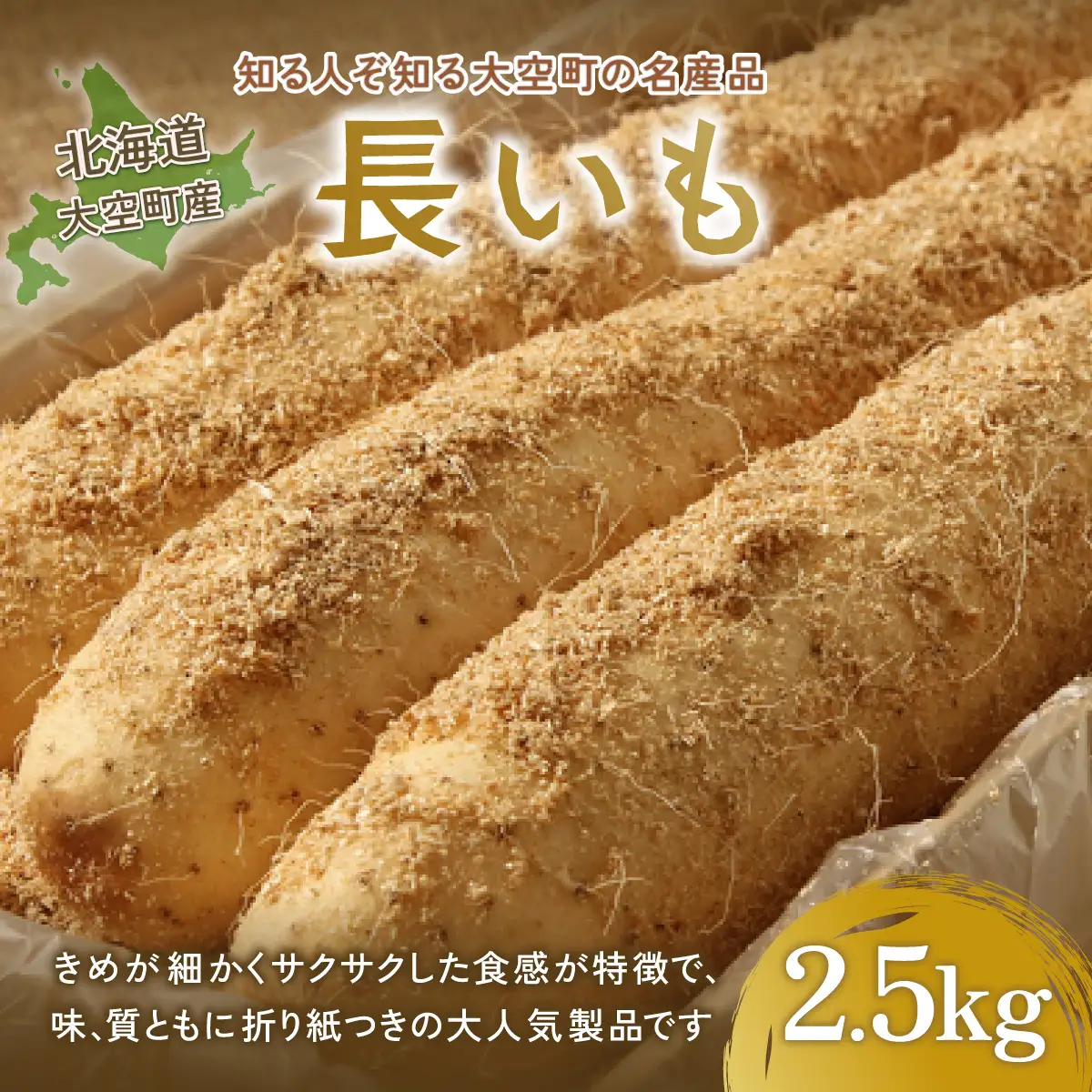 大空町産長いも2.5kg 【 ふるさと納税 人気 おすすめ ランキング 長いも いも 長イモ イモ 北海道 大空町 送料無料 】 OSA001