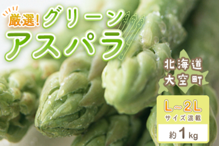 【先行受付】厳選!グリーンアスパラ約1kg（L ～2Lサイズ混載） 【 ふるさと納税 人気 おすすめ ランキング アスパラ アスパラガス グリーンアスパラ 春野菜 野菜 旬 北海道 大空町 送料無料 】 OSA014