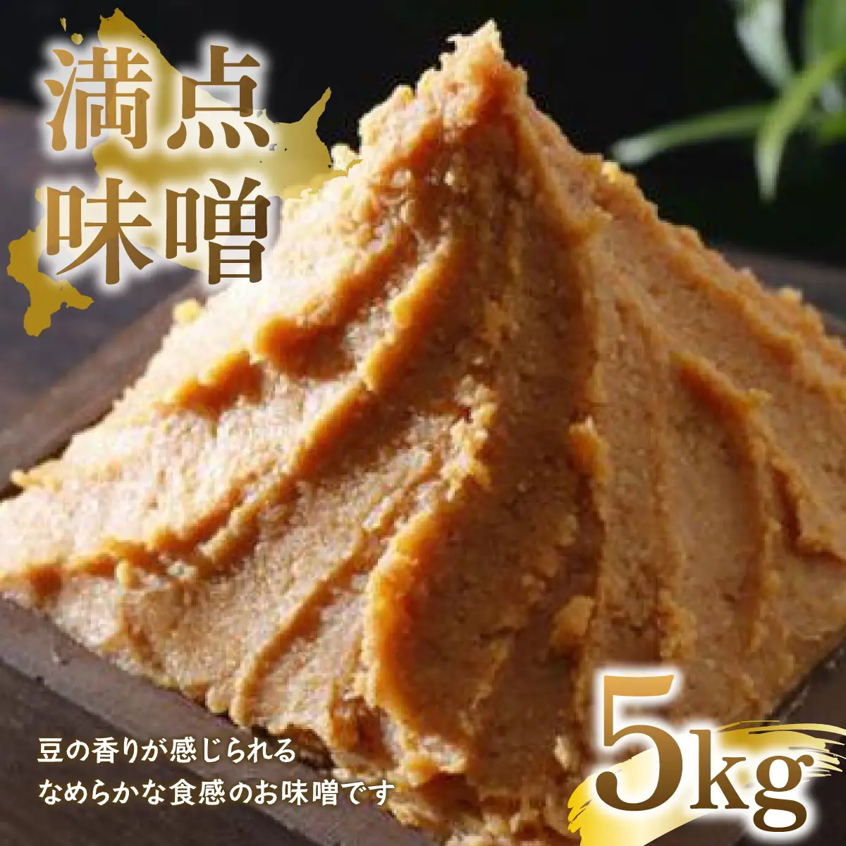 満点味噌5kg 【 ふるさと納税 人気 おすすめ ランキング 味噌 ミソ みそ 味噌汁 料理 調味料 北海道 大空町 送料無料 】 OSA015