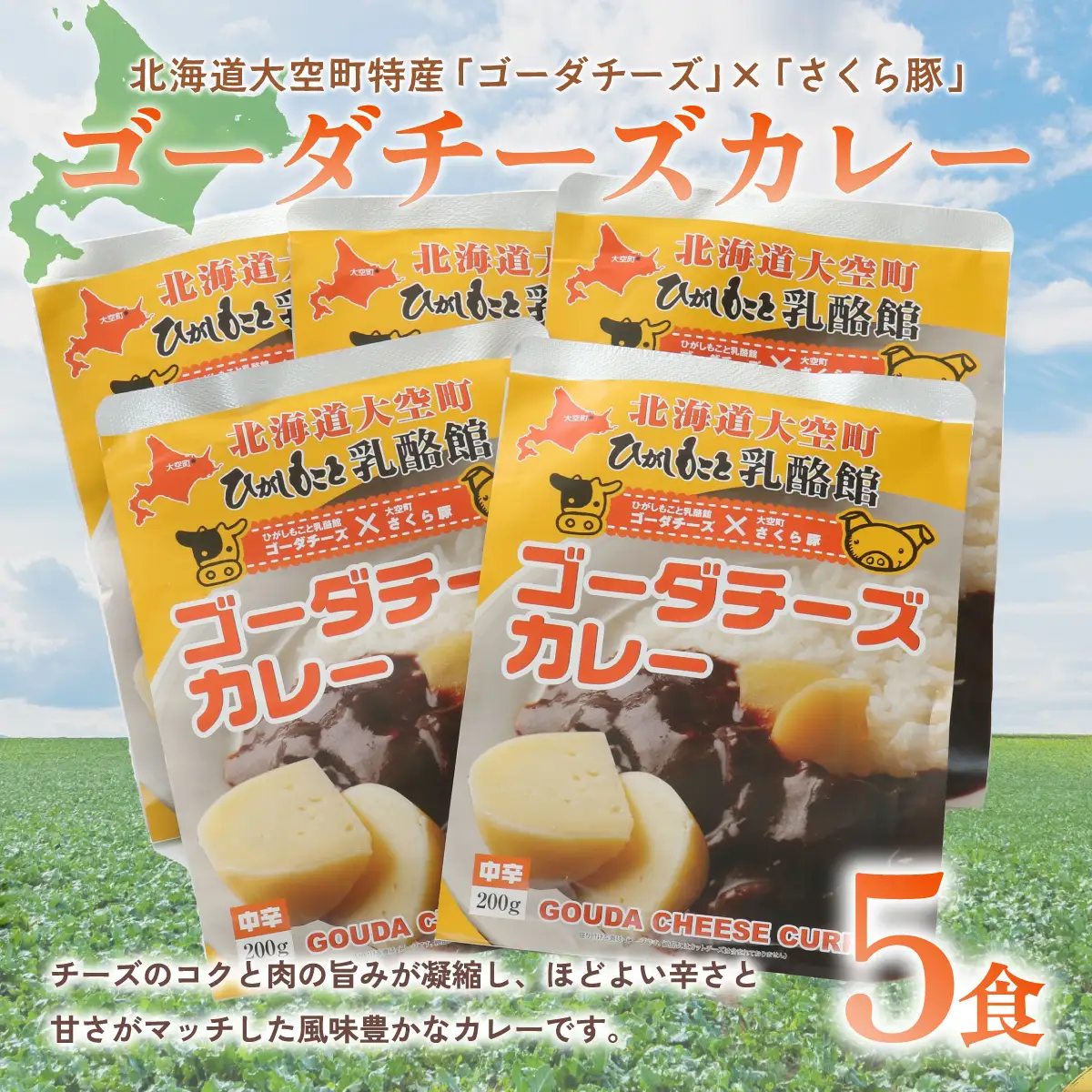 ゴーダチーズカレー200g×5食  OSA017 | チーズ カレー