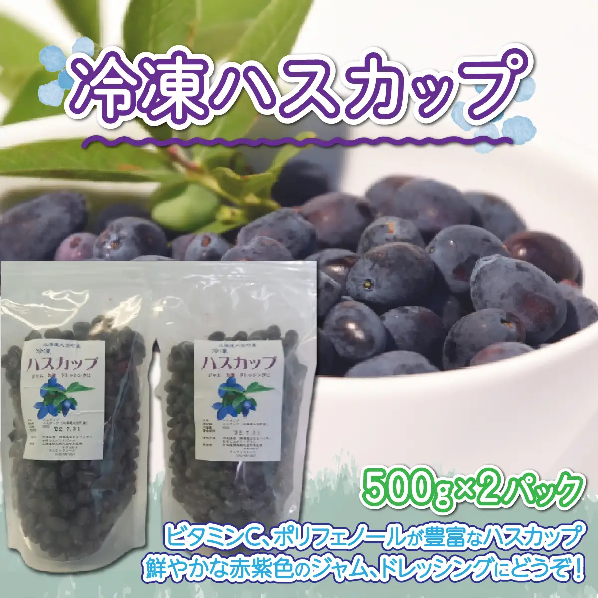 冷凍ハスカップ500g×2パック OSO001 | ハスカップ