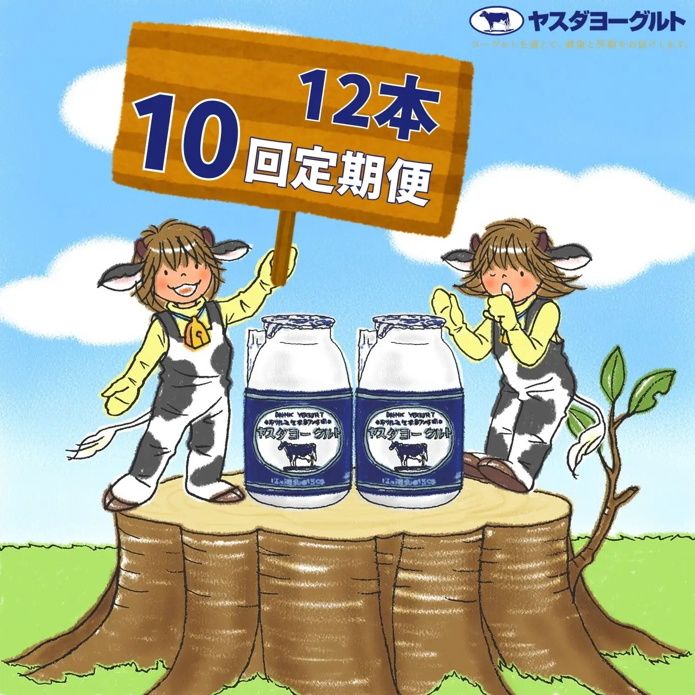 【10か月定期便】ヤスダヨーグルト 150g×12本×10回 小ボトル こだわり生乳 新鮮 濃厚 飲むヨーグルト のむよーぐると ヨーグルト 1B05061