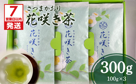 【7営業日以内に発送】さつまかおり 花咲き茶 K115-003 スピード配送 最短 すぐ届く お急ぎ