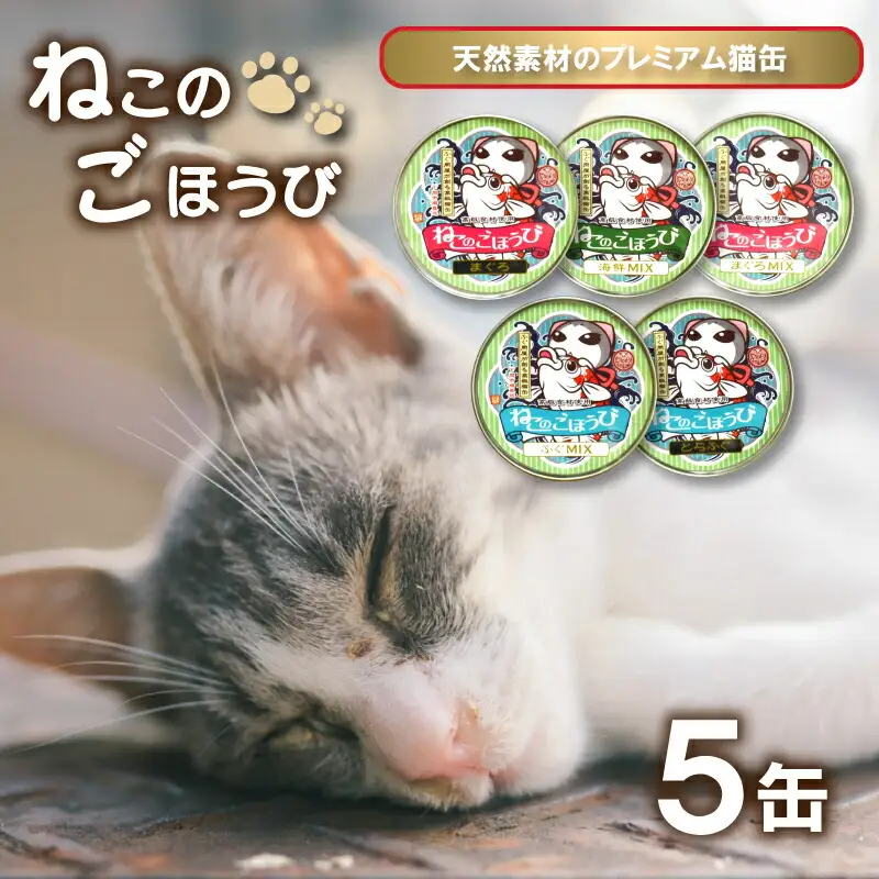 ペットフード キャットフード 5缶セット ペット ペット KA4000