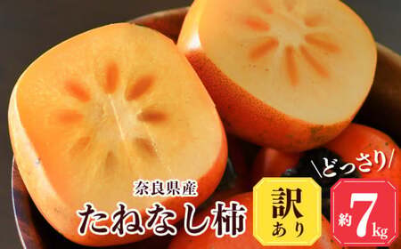 【堀うち農園】どっさり約7kg 訳あり たねなし柿 | 人気 国産 産地直送 秋 旬 送料無料 大容量 特産品 家庭用 奈良県 五條市