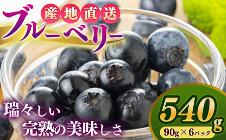 【堀内果実園】奈良県産 特別栽培 ブルーベリー90gx6Pセット | 低農薬 季節限定 奈良県 五條市