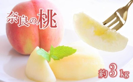 奈良の 桃 （約 3kg ） ❘  | 果物 桃 福西農園 